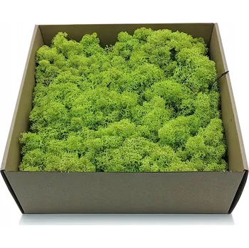 Obraz 500g MECH CHROBOTEK sobí jarní NORSKÝ