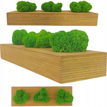 Obraz Dekorace z mechu chrobotka ve formě dřevěné destičky z vrstveného dřeva borovice