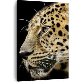 Obraz Obraz na plátně do obýváku ložnice 50x70 zvířata obrazy na zeď canvas