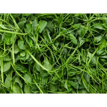 Semeno Tiny Greens Hrášek DUO - čerstvé microgreens Množství: 30g