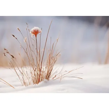 Plakát Plakát Zima v detailech bez rámu 42 x 29,7 cm