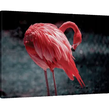 Obraz Obraz na plátně do obýváku ložnice 70x50 plameňák foto obrazy na zeď