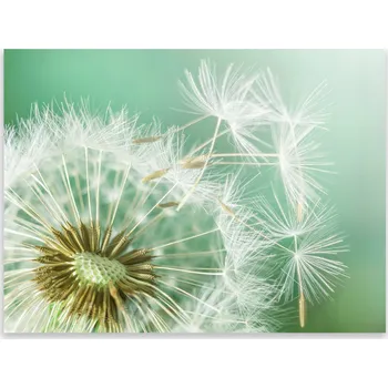 Kuchyňské prkénko Skleněná Ochranná Deska a Krájecí Prkénko | Indukce, Sporák ds-0038