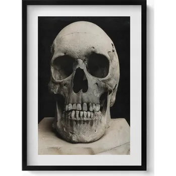 Obraz Dekorativní nástěnný obraz do obýváku, kuchyně - Lidská lebka, kostra 50x70 cm