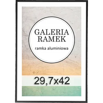 Obraz Rámeček na fotografie 29,7x42 cm Rámeček černý hliníkový fotorámeček pro fotografie A3