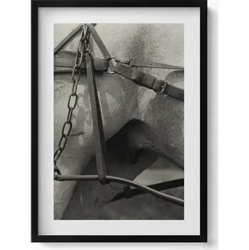 Obraz Nástěnný obraz v černém rámu s grafikou Detail koňské uzdečky 50x70 cm