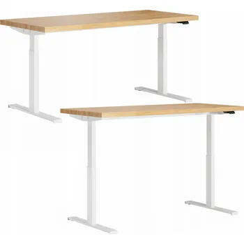 Psací stůl Obdélníkový psací stůl Deerhorn 160 x 80 x 128 cm bílý