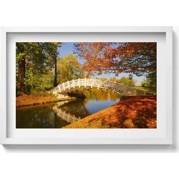 Obraz Elegantní obraz do obývacího pokoje v bílém rámu Park Woerlitzer na podzim 60x40 cm