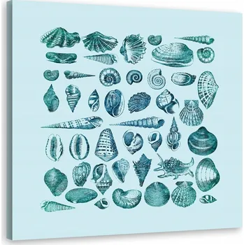 Obraz Obraz Modré malé mušle - Andrea Haase 60x60