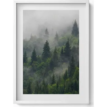 Obraz Nástěnný dekorativní foto obraz v bílém rámu Krajina les v mlze 50x70 cm