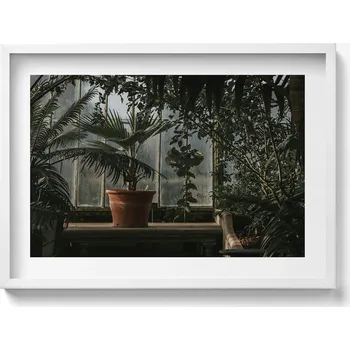 Obraz Dekorativní obraz v bílém rámu na zeď Vintage rostliny v okně 70x50 cm