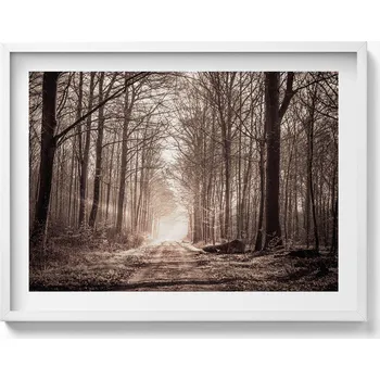 Obraz Dekorativní nástěnný obraz do pokoje Lesní cesta v sépiových barvách 80x60 cm