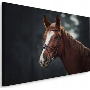 Obraz Obraz do Jídelny KŮŇ Zeleň Les Příroda 3D 30x20