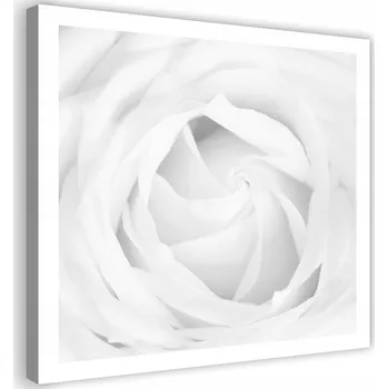 Obraz OBRAZ NA PLÁTNĚ RŮŽÍ 30x30