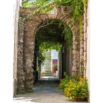 Obraz Plakát Capri 2 bez rámu 30 x 40 cm