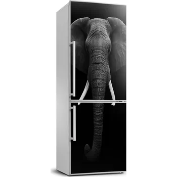Fototapeta Samolepicí samolepící na ledničku Slon africký