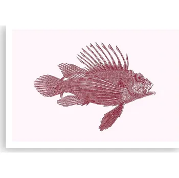 Obraz Plakát na zeď bez rámu 100x70 ryba foto-obraz plakáty do obývacího pokoje ložnice