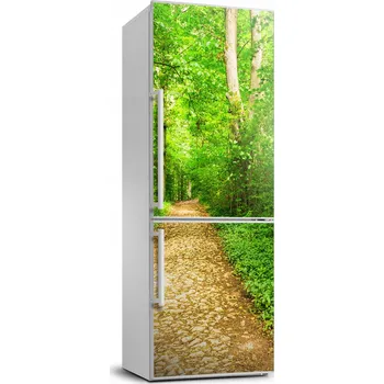 Fototapeta Nálepka na ledničku Cesta v lese 70x190