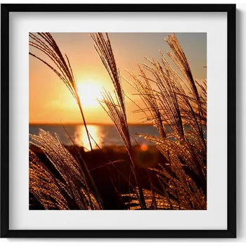 Obraz Obraz v černém rámu na zeď do obýváku kuchyně Pšenice 50x50 cm