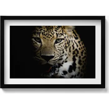 Obraz Obraz s černým rámem a grafikou na zeď Divoká kočka tygr v černé barvě 60x40 cm