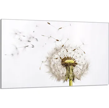 Kuchyňské prkénko Krájecí deska TMK ArtDeko sklo 1 ks