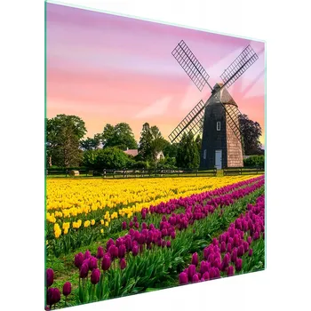 Kuchyňské prkénko Krájecí deska TMK ArtDeko sklo 1 ks