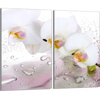 Kuchyňské prkénko Krájecí deska TMK ArtDeko sklo 2 ks