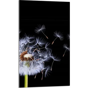 Kuchyňské prkénko Krájecí deska TMK ArtDeko sklo 1 ks