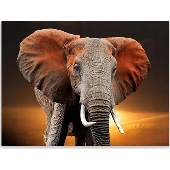 Kuchyňské prkénko Skleněná Ochranná Deska a Krájecí Prkénko | Indukce, Sporák ds-0544