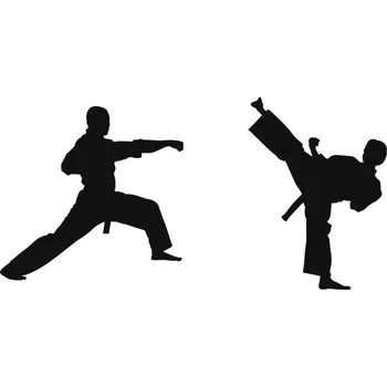 Obraz Samolepka na stěnu karate 140x70cm černá