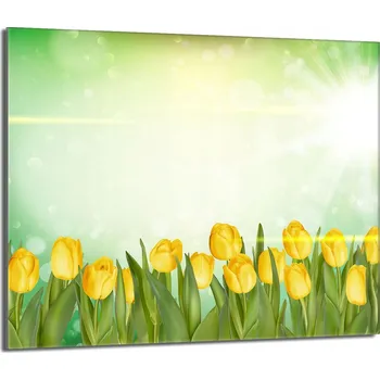 Kuchyňské prkénko Krájecí deska TMK ArtDeko sklo 1 ks