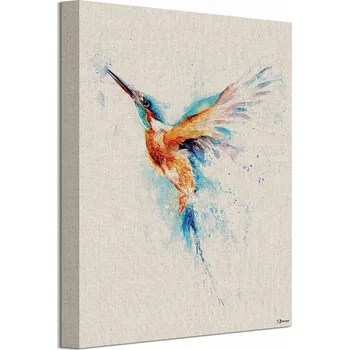 Obraz Jane Bannon Barevný Kolibřík - obraz 30x40 cm