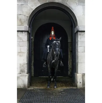 Obraz Plakát Královská garda v Londýně bez rámu 30 x 45 cm