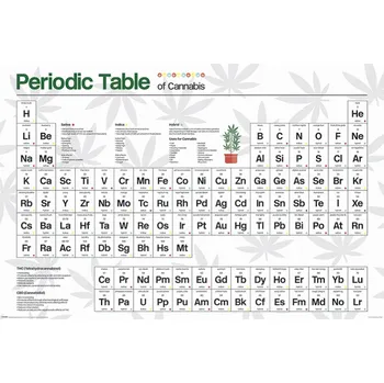 Obraz Plakát Periodická tabulka konopí cannabis plakát bez rámu 91,5 x 61 cm