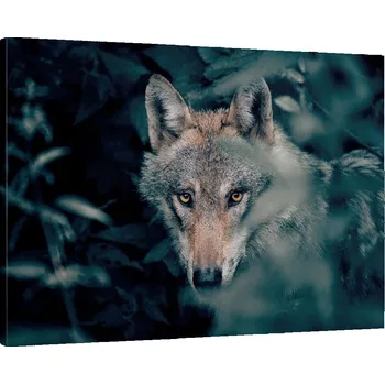 Obraz Obraz na plátně do obýváku, ložnice 70x50 vlk foto obrazy na zeď canvas