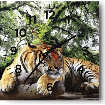 Hodiny Nástěnné hodiny do obýváku 40x40 Tygr Bezhluké hodiny na skle Tiché