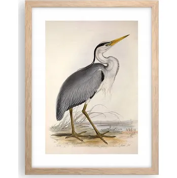 Obraz Obraz plakát v rámu světlý dub do obýváku 30x40 pták foto plakáty na zeď