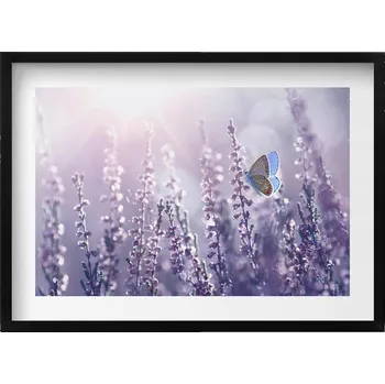 Obraz Dekorativní obraz s grafikou v krásném rámu - Motýl na lučních květinách 70x50 cm