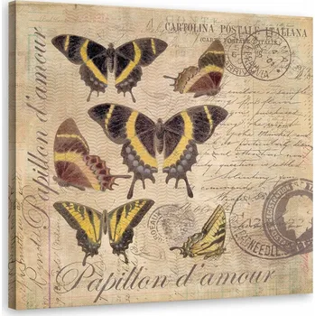 Obraz Obraz Motýli na béžovém pozadí - Andrea Haase 60x60