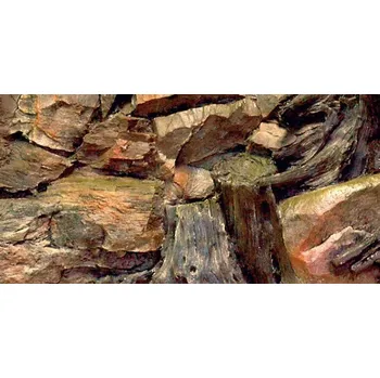 Dekorace do akvária Pozadí kořen 50x30