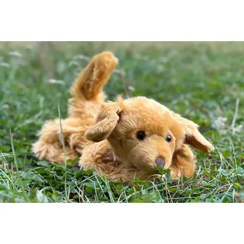 Panenka Terapeutický pes Ben, hnědý