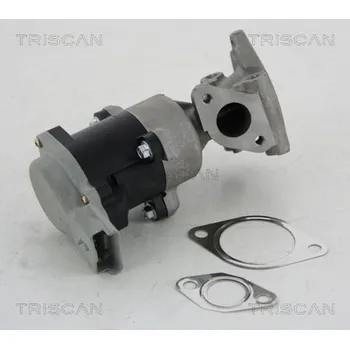 Ventil palivového systému AGR-Ventil TRISCAN 8813 10008