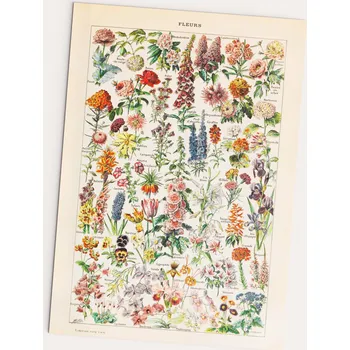 Obraz Plakát Vintage Květiny - Fleurs 30x40 bez rámu 30 x 40 cm