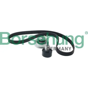 Sada rozvodového řemene Borsehung B10210