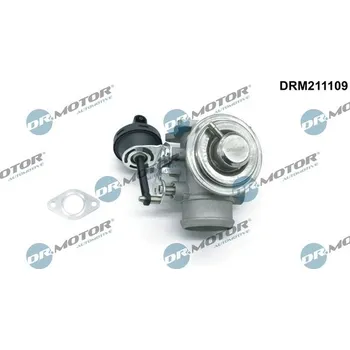 Ventil palivového systému AGR-Ventil Dr.Motor Automotive DRM211109