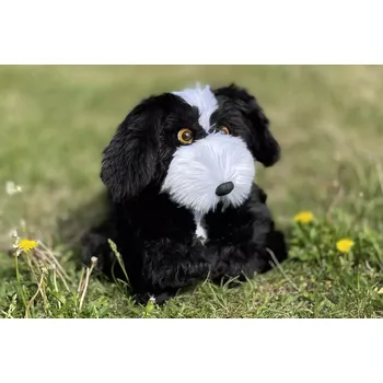 Panenka Terapeutický pes Čertík, černobílý