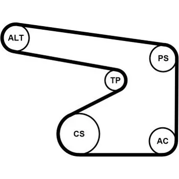 Vodní pumpa + klínový žebrový řemen CONTINENTAL CTAM 5PK1355WP4
