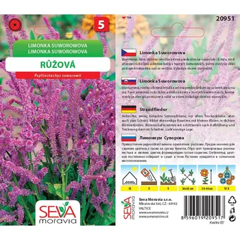 Semeno 20951/4606 Limonka Suworova Růž-fialová 0,2g