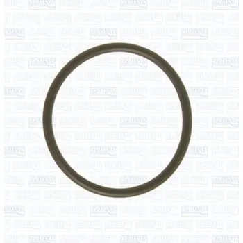 Chladič motoru Těsnění, příruba chladiva AJUSA 16024400