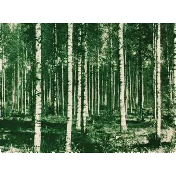 Zahraniční hudba CD Tuohi Klang: Pennselmann Hits Vol. 2765 2025